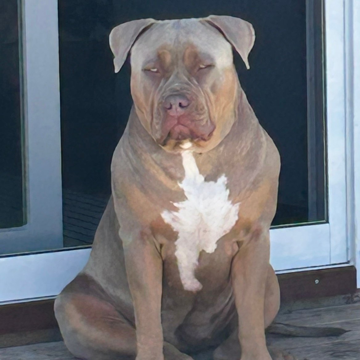 Harvey_Steelman's profile picture. 