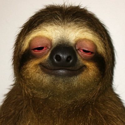 binhnnt98_'s profile picture. Software Engineer at @get_nimbus | A personalized Web3 portfolio tool