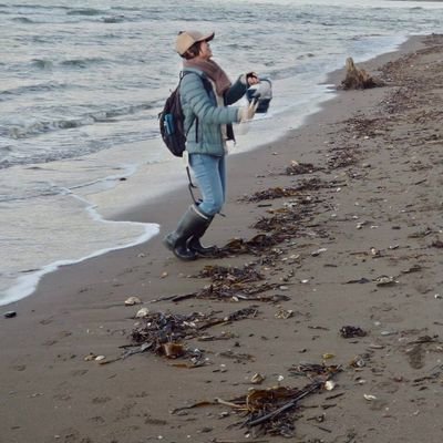 toruchan_888's profile picture. ビーチコーミング愛好家。貝殻、棘皮殻、海洋生物、他自然物、海石、ガラス類、古のものなど。生体はﾘﾘｰｽ🌊👋現場主義。目指せ！浜辺の探索王🏖️🐚💎他の趣味など→
@uketsuNAKANIWA