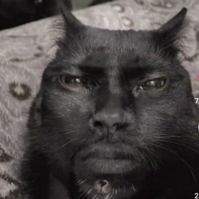 Andika15bn's profile picture. 