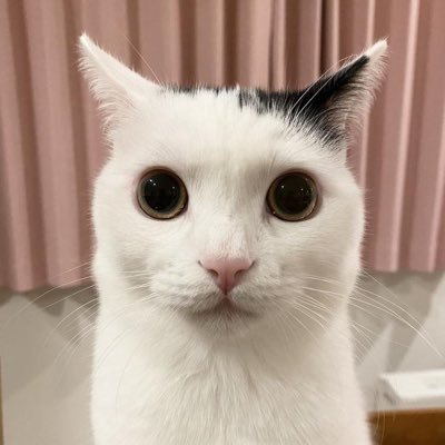 yxnyg's profile picture. 