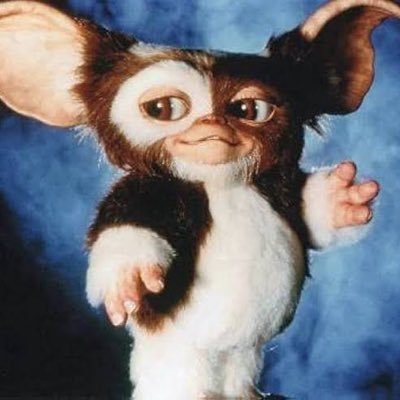 CsuJ9b's profile picture. APEX