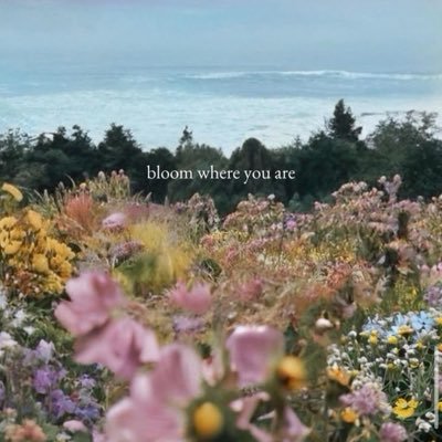 J22HC's profile picture. bioscience #PNU