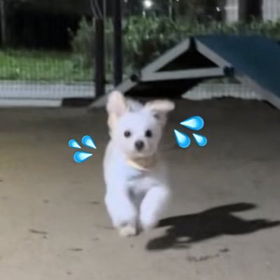 @Noopppp_y