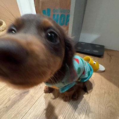 liuchenglin9507's profile picture. 