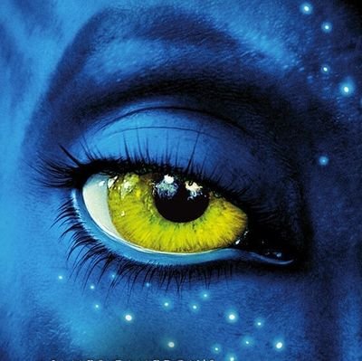 ElieJow's profile picture. 