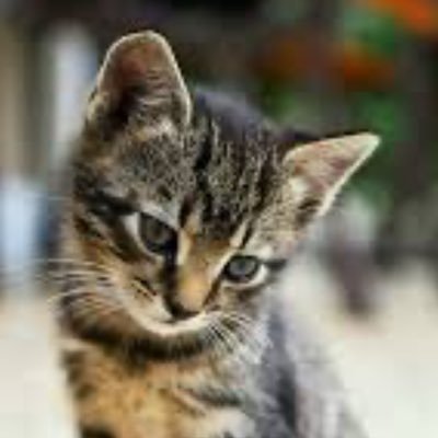 Ichirozju3's profile picture. 私は慈善家なので、困っている人を助けるのが好き です。