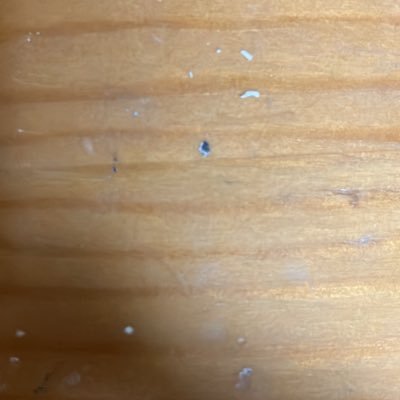 voi_777's profile picture. MH大学、Ri:fujin学部、Atari-Hantey Mechanics科、首席卒業生。現在はAtari-Hantey Mechanics 研究会を設立し研究リーダーとして｢悪質｣なAtari-Hantey の解明に尽力。標語は｢膣礼します｣