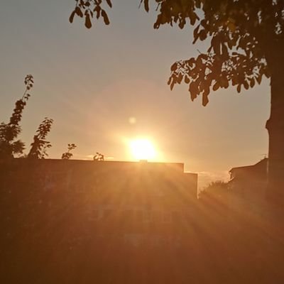 carosbubble's profile picture. 