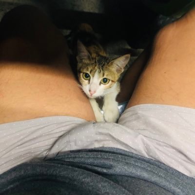 quinginamocca's profile picture. not for free | sa gabi lang available. Views and opinions are my own and should not be interpreted as representing any organization I’m affiliated with.