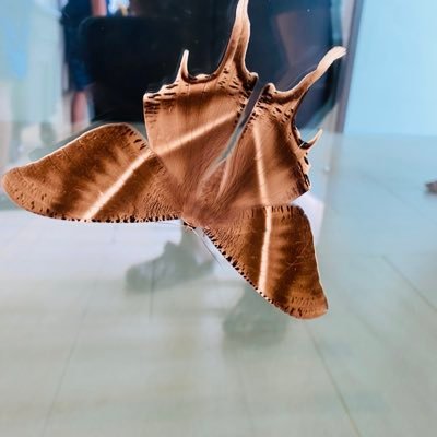 ben_renier's profile picture. Iloveyou