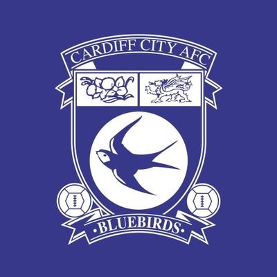 Following_CCFC's profile picture. New account to talk #CardiffCity and Cymru🏴