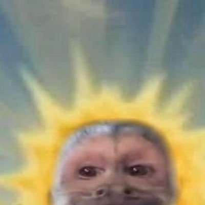 apenaseu_04's profile picture. Se um pato perde a pata ele fica manco ou viúvo?