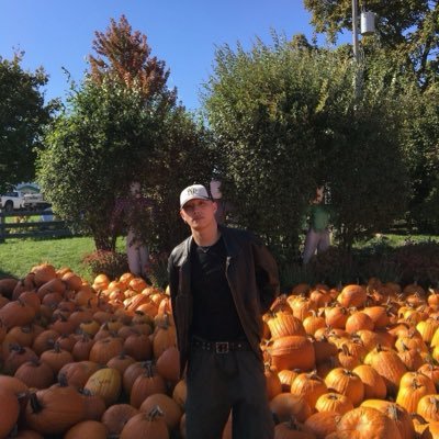 pininazucchina's profile picture. 