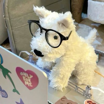 augustluv04's profile picture. ( @.thaichayanon, @.tle_mtm ) 🫧