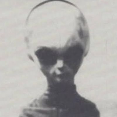 realityseaker's profile picture. Not necessarily anti-human, but, you know...
it/that
#UFOtwitter