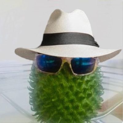 Farmercampo_100's profile picture.