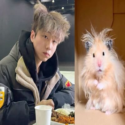 melon_soda_030_'s profile picture. 🍎Lizi | 7teen | they/it☘️
•°. *࿐ silly art ࿐*. •°
°•*⁀➷ comms: closed
₊ ⊹ ᶻz !! Read my strawpage Byf