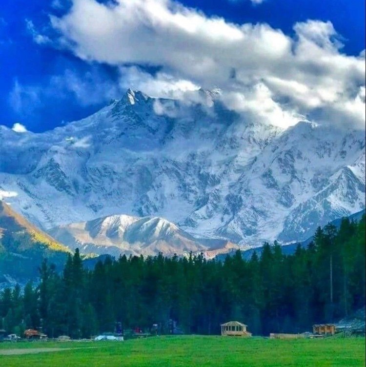 RezaManou50's profile picture. 