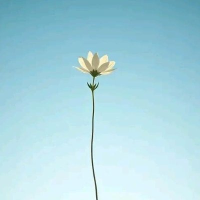 100myaShuklaa's profile picture. Smile. Sparkle. Shine.