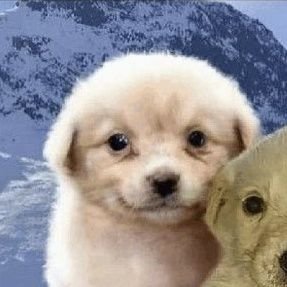 citrusbunnycake's profile picture. any pronouns 18+ venting, shit talking, personal stuff, and WIPs dump
please use tone tags