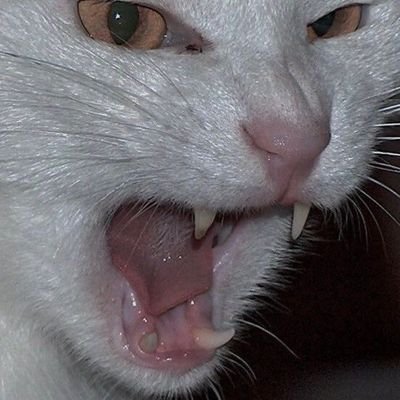 carmenyube's profile picture. ub-24