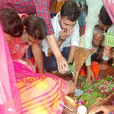 Vishal442002's profile picture. 