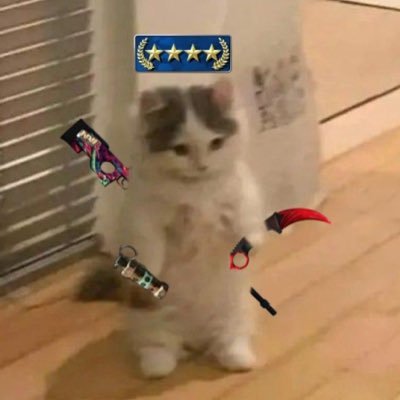 slancigang's profile picture. Union faculty law student    part time cs player