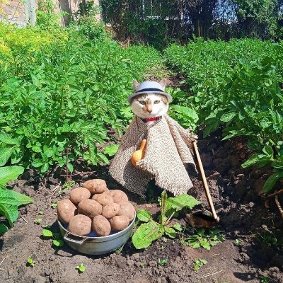 TALKZS3's profile picture. Yo.