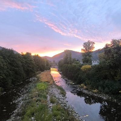 muchogusto71's profile picture. 