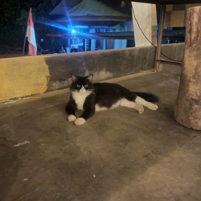 rids_storee's profile picture.