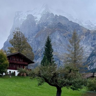 AnndroR's profile picture. Architect, teacher, retired. Enthusiastic iPhonographer. Except retweets/reX all photos are mine. iPhone XS, 12 Pro, 15 Pro and now an iPhone 16 Pro. 🇨🇴🇺🇸