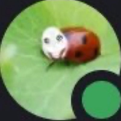 only16idkanythg's profile picture. looks like the cat did a number on you