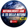 simonasessa's profile picture. Naturalmente Sani TG della Natura e delle Belle Notizie di Simona Sessa. Le belle notizie che fanno bene al cuore e alla mente.  Un TG che porta luce e speranza