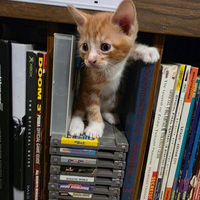 MDLuttrell12's profile picture. 