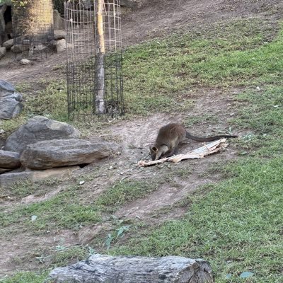 bitminehogu's profile picture. 