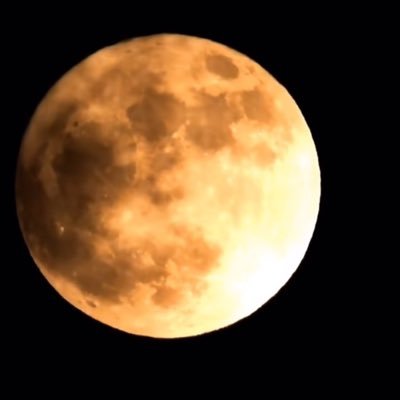 yzcmrt4's profile picture. 