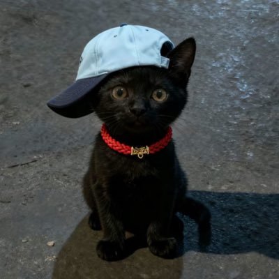 bubblephrince's profile picture. 🪼 19/181