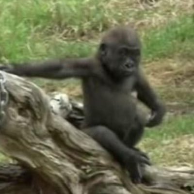 Dawnfall1907's profile picture. romance anime lover / tiramisu lover / dünyanın en çok özür dileyen insanı