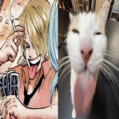 odasavemee's profile picture. #onepiece