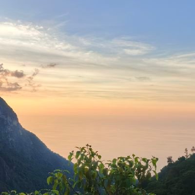 ariesjahir's profile picture. Que viva el joropo y sentimiento venezolano....!