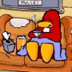 queenyll's profile picture. E vc ta endauldi agrummgit
e vc tá endauldiE vc tá endauldi agrummgit ag😜os e riuboissrummgit