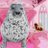 hiyoritheseal's profile image