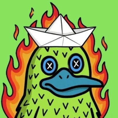 dowhtnow's profile picture. nope