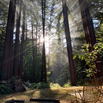 ethelwulf8's profile picture. 🇺🇸