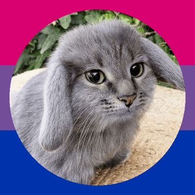 cherryeuphoric's profile picture. 🇲🇽 • 🇵🇪 | nym, nyg, nyk | griffin canning enthusiast | cabbit fan | sutton foster hater!!!! | hughtwt | saw hugh and gaga 1x | little monster since 2016🫶