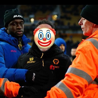WorcesterW0lf's profile picture. #FosunOut #ShiOut #GuangchangOut #TetiOut #VitorOut