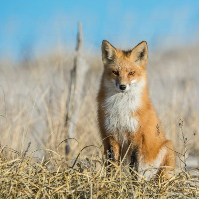 oneflow4295511's profile picture. 