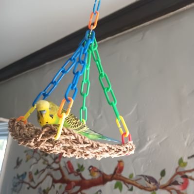 mkk021667's profile picture. 卍🇺🇸