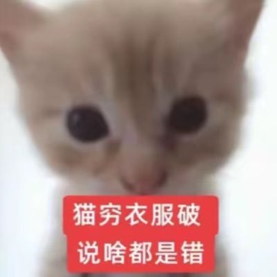 智力缺陷
